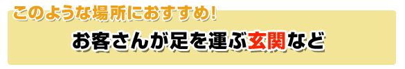 玄関におすすめ！