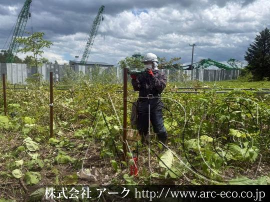 進捗状況